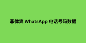 菲律宾 WhatsApp 电话号码数据