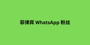 菲律宾 WhatsApp 粉丝