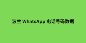 波兰 WhatsApp 数据