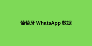 葡萄牙 WhatsApp 数据