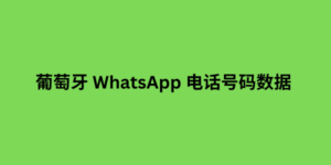 葡萄牙 WhatsApp 电话号码数据