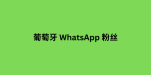 葡萄牙 WhatsApp 粉丝