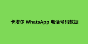 卡塔尔 WhatsApp 电话号码数据