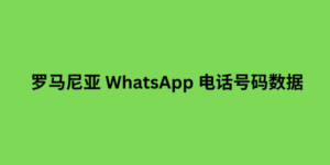 罗马尼亚 WhatsApp 电话号码数据