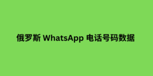 俄罗斯 WhatsApp 电话号码数据