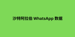 沙特阿拉伯 WhatsApp 数据