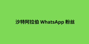 沙特阿拉伯 WhatsApp 粉丝