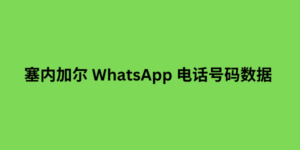 塞内加尔 WhatsApp 电话号码数据