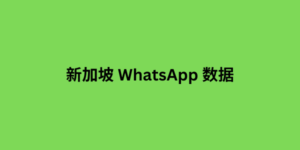 新加坡 WhatsApp 数据