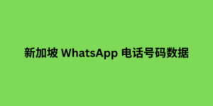 新加坡 WhatsApp 电话号码数据