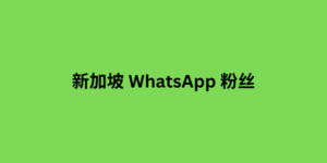 新加坡 WhatsApp 粉丝